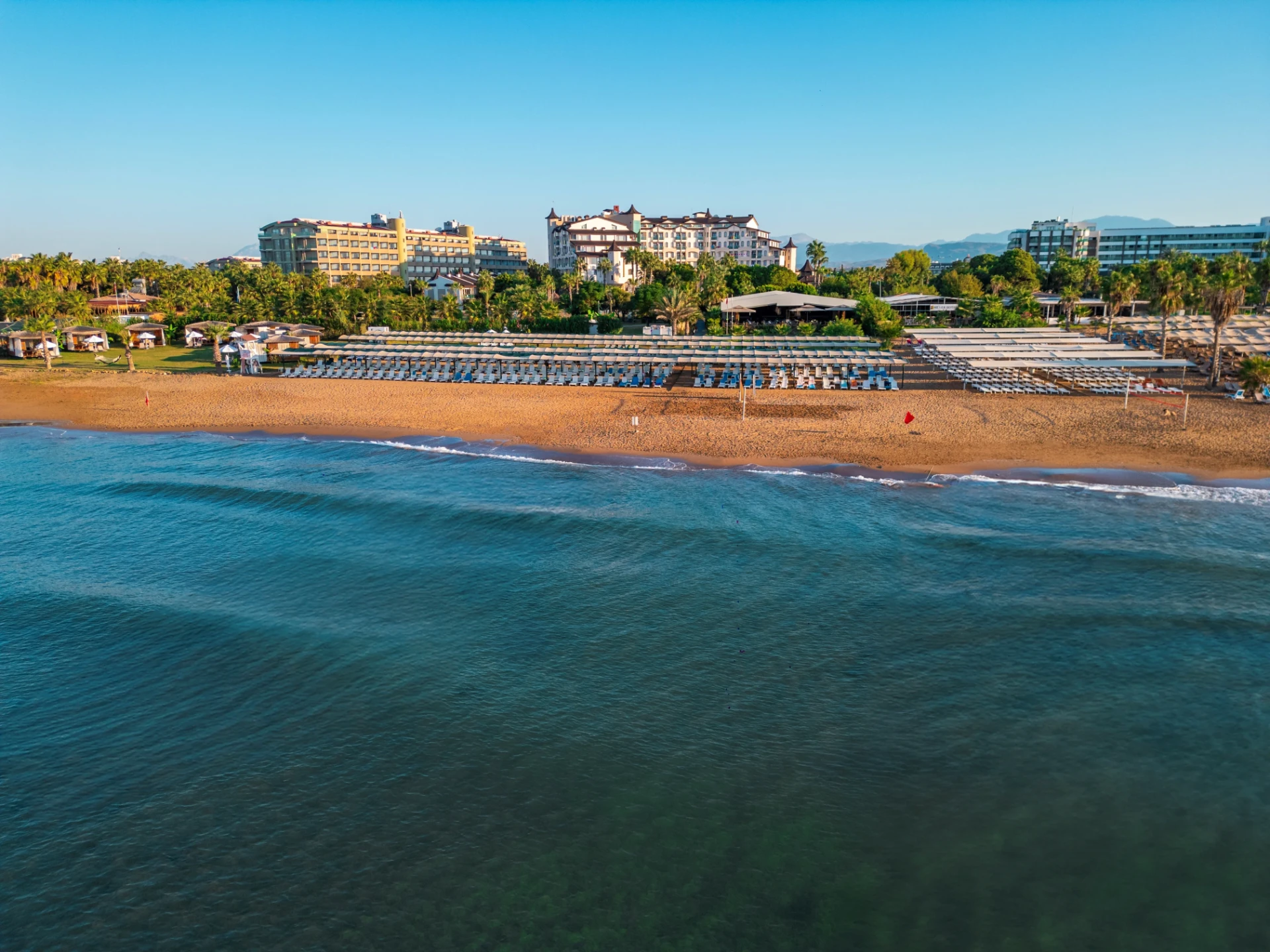 The Beach